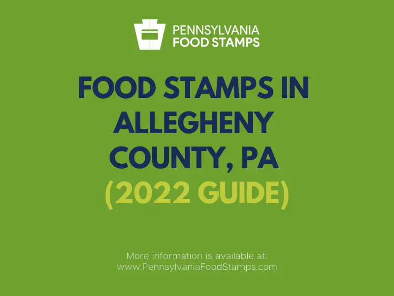 "Food Stamps in Allegheny County"
