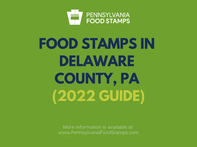 "Food Stamps in Delaware County"